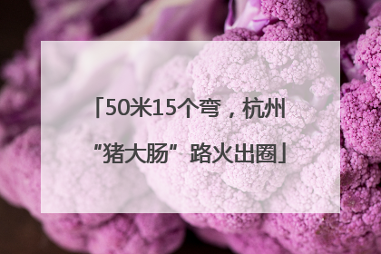 50米15个弯，杭州“猪大肠”路火出圈
