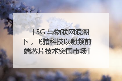 5G 与物联网浪潮下，飞骧科技以射频前端芯片技术突围市场