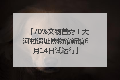 70%文物首秀！大河村遗址博物馆新馆6月14日试运行