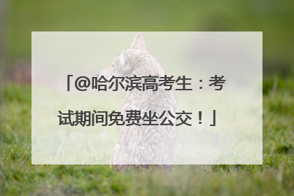 @哈尔滨高考生：考试期间免费坐公交！
