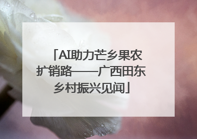 AI助力芒乡果农扩销路——广西田东乡村振兴见闻