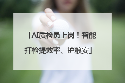 AI质检员上岗！智能扦检提效率、护粮安