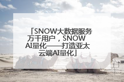 SNOW大数据服务万千用户，SNOW AI量化——打造亚太云端AI量化