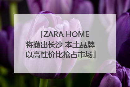 ZARA HOME将撤出长沙 本土品牌以高性价比抢占市场
